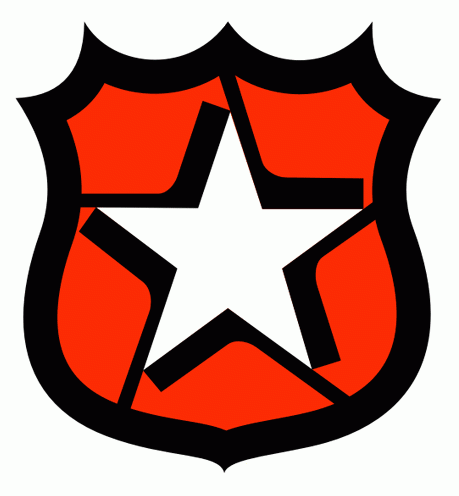 NHL All-Star Game 1981-1993 Team Logo DIY iron on transfer (heat transfer)